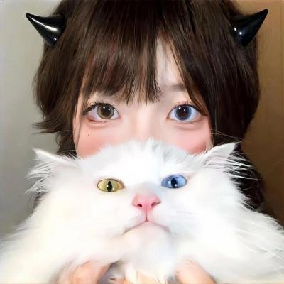 孤鸟罗宾封面